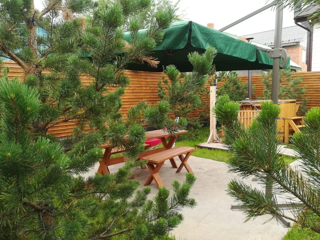 Дворик с соснами